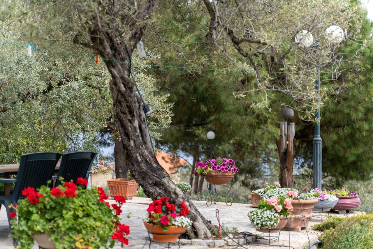 Villa Elia Kavala - Mediterranean Holiday Villa PalaiónTsiflíkion Buitenkant foto