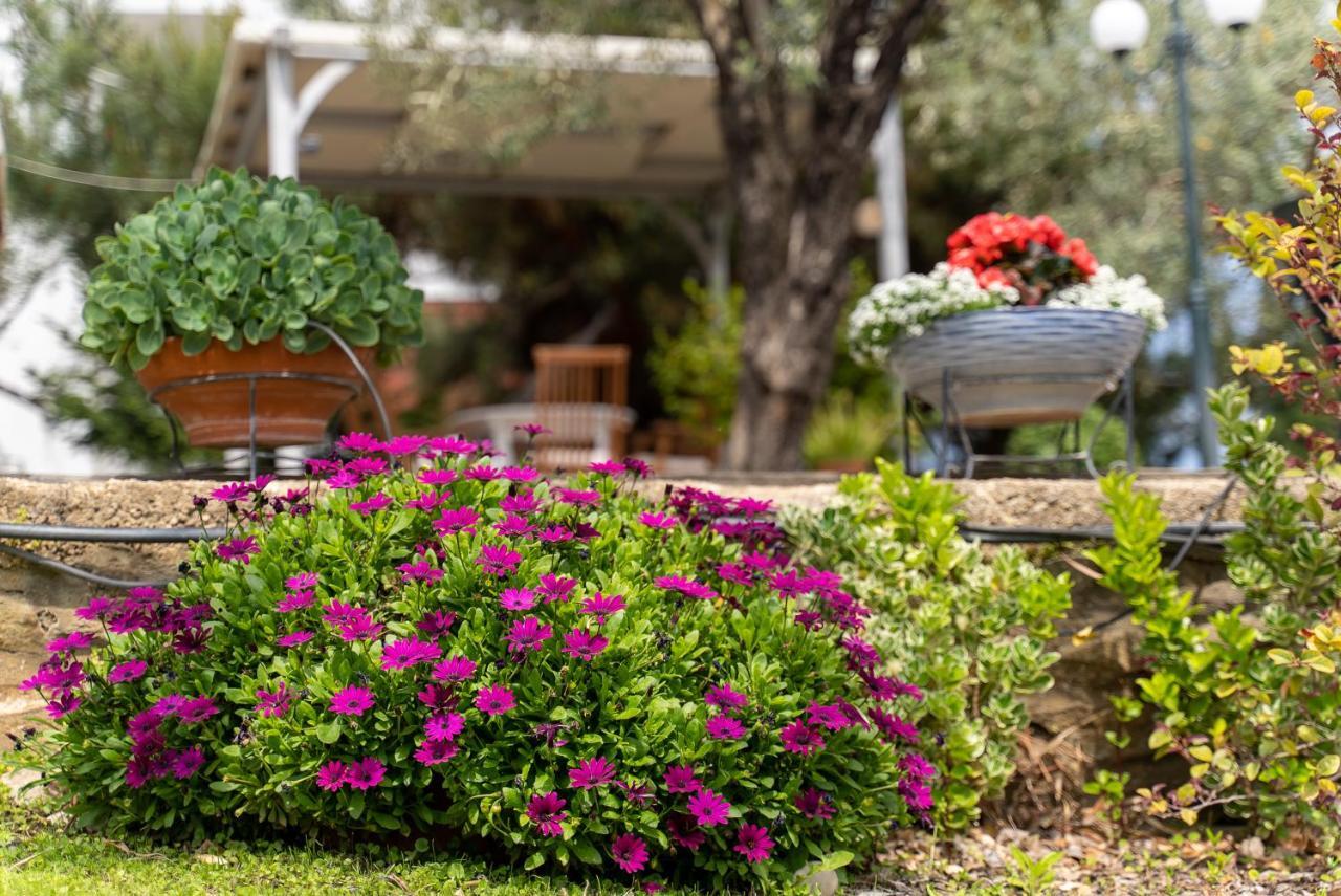 Villa Elia Kavala - Mediterranean Holiday Villa PalaiónTsiflíkion Buitenkant foto
