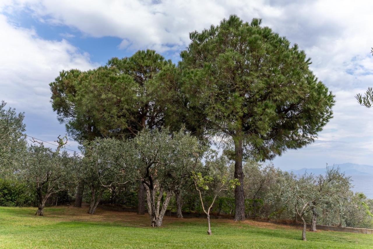 Villa Elia Kavala - Mediterranean Holiday Villa PalaiónTsiflíkion Buitenkant foto