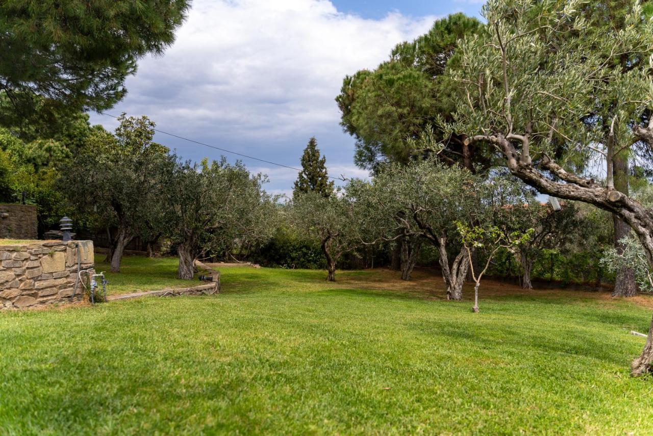 Villa Elia Kavala - Mediterranean Holiday Villa PalaiónTsiflíkion Buitenkant foto